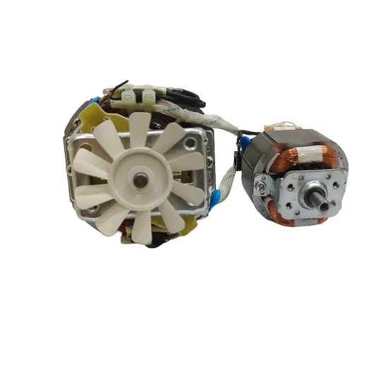 220V Mini DC AC Gear Box BLDC Brushless Spazzolato Universale Ventilatore da Tavolo Hub Veicolo Elettrico Auto Motore per tritacarne