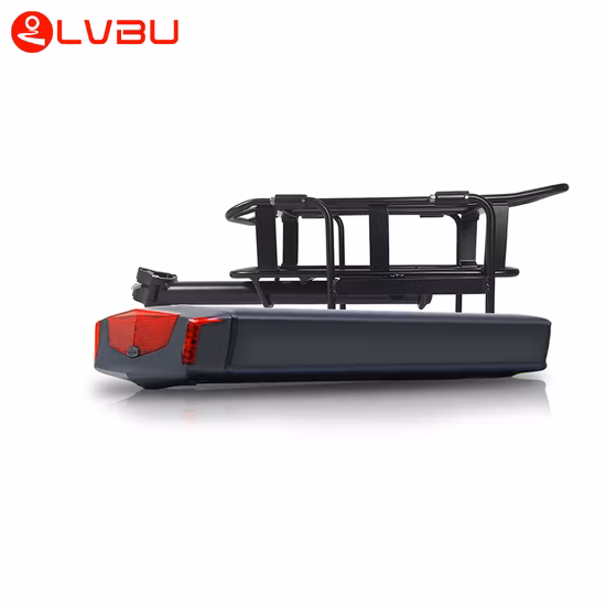 Motore da 250 W 350 W per bici da città elettrica Motore con mozzo anteriore/posteriore per kit di conversione bicicletta elettrica